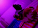 Bild 88 von 94